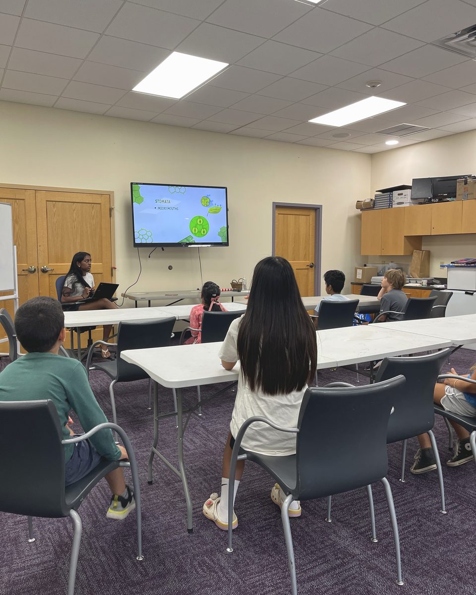 A wide view of a library programme room during a free science session.